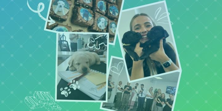Puppies & Brownies! TD's Ultimate Stress-Relief Strategy!